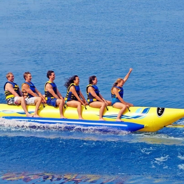 Paddlershub
